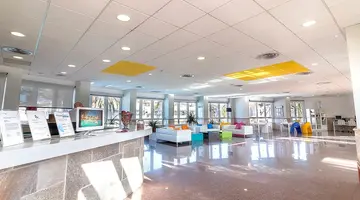 LIVVO Koala Garden