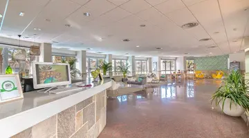 LIVVO Koala Garden