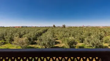 LOliveraie de latlas