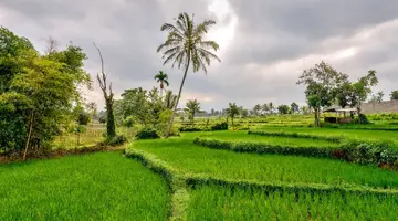 Lombok - Sundajska Widokówka