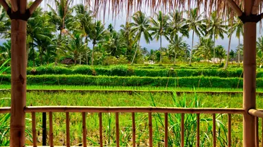 Lombok - Sundajska Widokówka