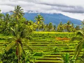 Lombok - Sundajska Widokówka