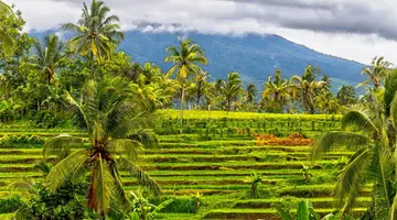 Lombok - Sundajska Widokówka
