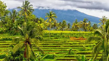 Lombok - Sundajska Widokówka
