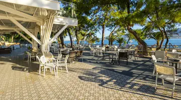 LONG BEACH CLUB NATURE