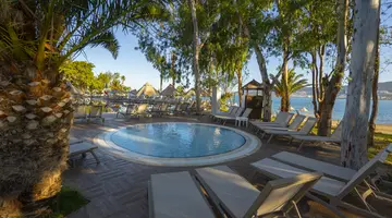 LONG BEACH CLUB NATURE