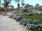 Long Beach Resort
