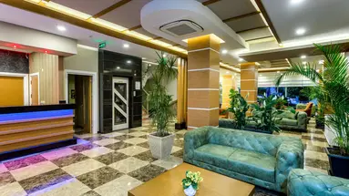 Lonicera City Kleopatra