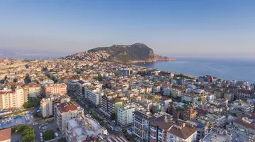 LONICERA CITY KLEOPATRA