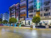 LONICERA CITY KLEOPATRA