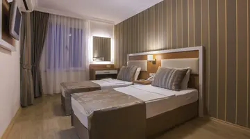 LONICERA CITY KLEOPATRA