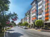 LONICERA CITY KLEOPATRA