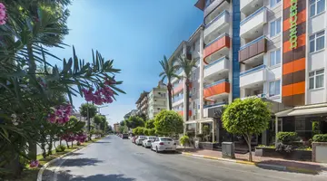 LONICERA CITY KLEOPATRA