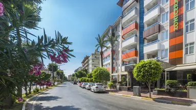 LONICERA CITY KLEOPATRA
