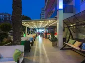 LONICERA CITY KLEOPATRA