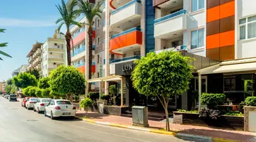 Lonicera City Kleopatra