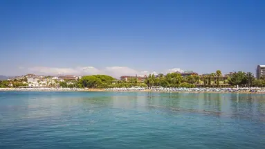 LONICERA RESORT
