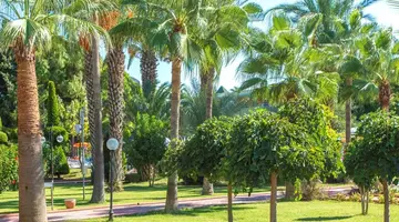 LONICERA WORLD HOTEL