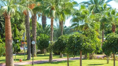 LONICERA WORLD HOTEL
