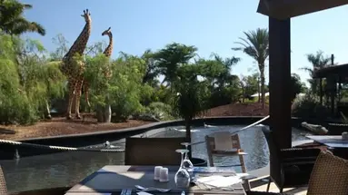 Lopesan Baobab Resort
