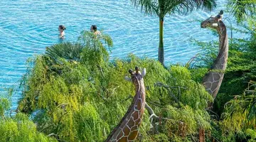 Lopesan Baobab Resort