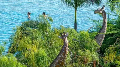 Lopesan Baobab Resort