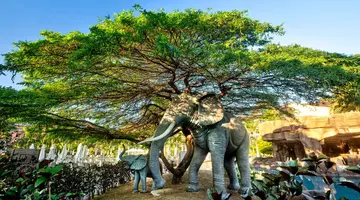 Lopesan Baobab