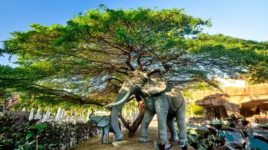 Lopesan Baobab