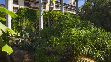 LOPESAN COSTA MELONERAS RESORT