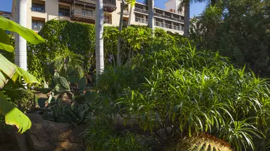 LOPESAN COSTA MELONERAS RESORT