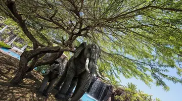 Lopesan Hotel Baobab Resort