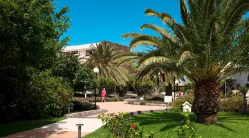 Los Zocos Impressive Lanzarote