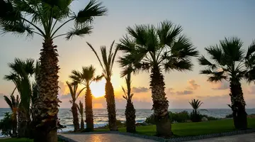 Louis Paphos Breeze