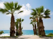 Louis Paphos Breeze
