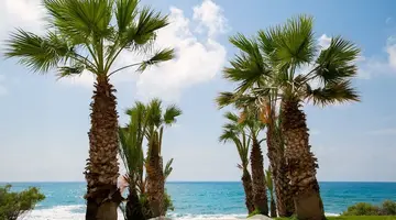 Louis Paphos Breeze