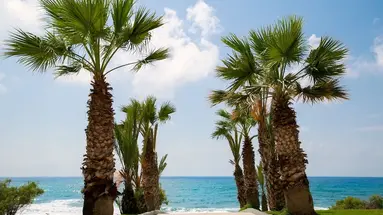 Louis Paphos Breeze