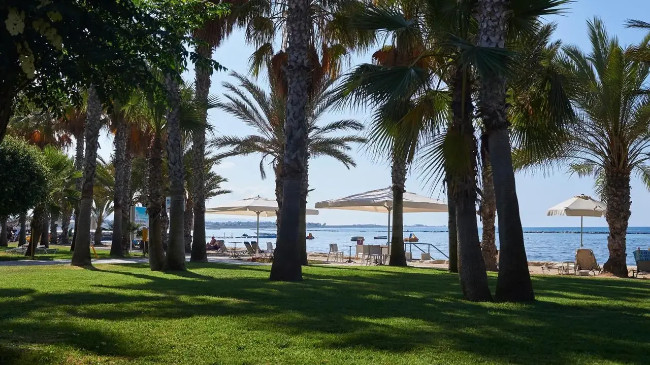LOUIS PHAETHON BEACH