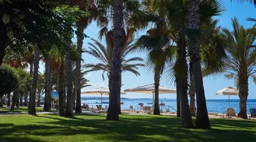Louis Phaethon Beach