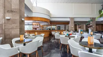LOUIS PHAETHON BEACH