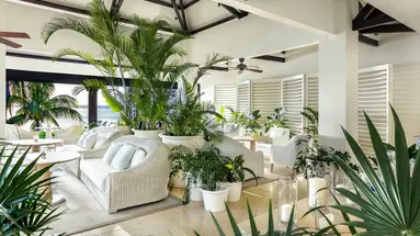 Lux Le Morne