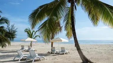 Lux Marijani Zanzibar