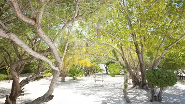 LUX South Ari Atoll
