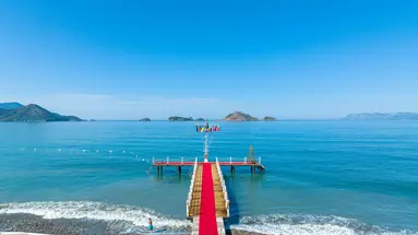 LYKIA BOTANIKA BEACH