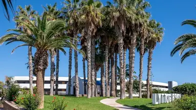Lyttos Beach