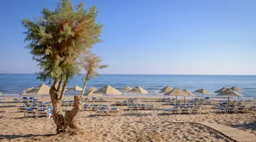 Lyttos Beach