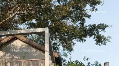 M VILLAGE TROPICAL PHU QUOC (EX. M RESORT PHU QUOC)