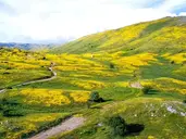 Macedonia - Bałkańska Kraina Słońca