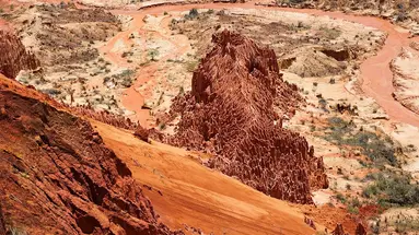 Madagaskar - aleja baobabów i parki narodowe