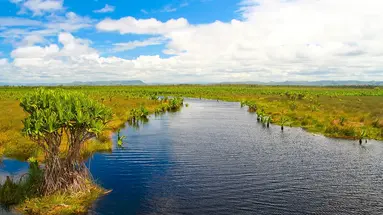 Madagaskar - aleja baobabów i parki narodowe