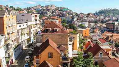Madagaskar - aleja baobabów i parki narodowe